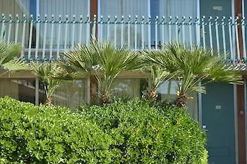 Glh Motel 2*